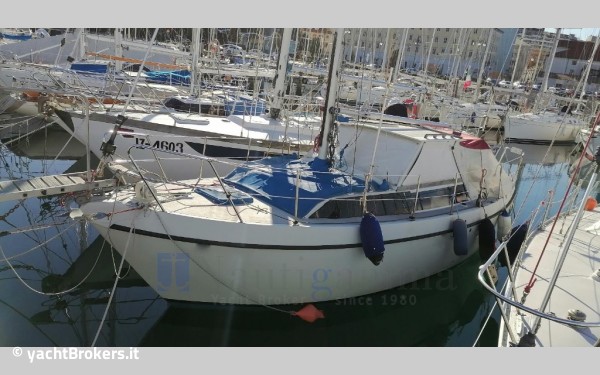 Automarine Tortuga 27