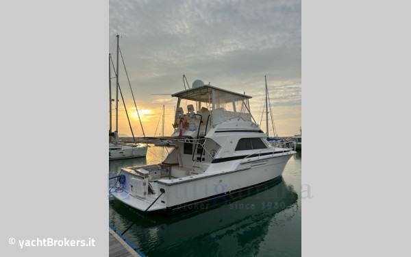 Bertram Yacht 43 Convertible