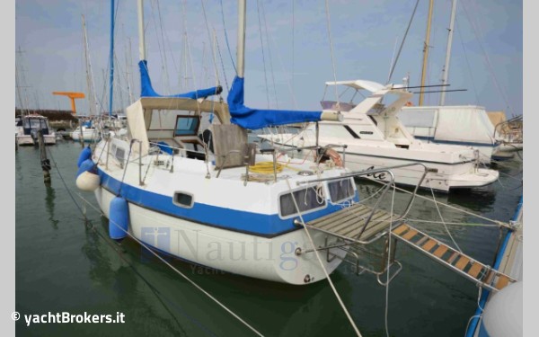 Lionello - Laverda Compass 31