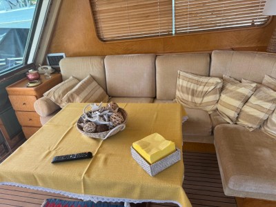 Alfamarine 16,50 Fly