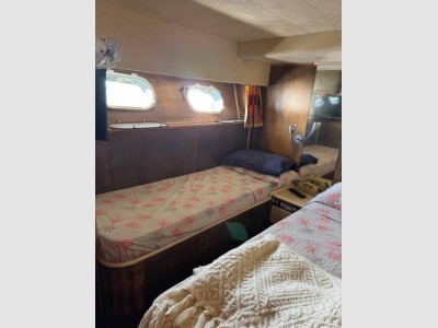 Alfamarine 16,50 Fly