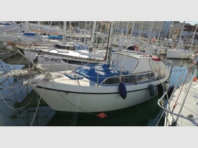 Automarine Tortuga 27