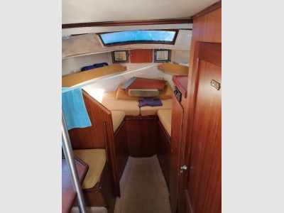 Automarine Tortuga 27