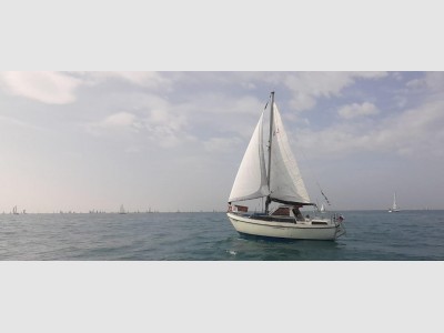 Automarine Tortuga 27