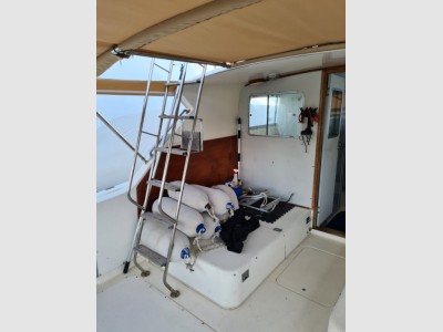 Bertram Yacht 33 Sport Fisherman