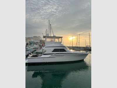 Bertram Yacht 43 Convertible
