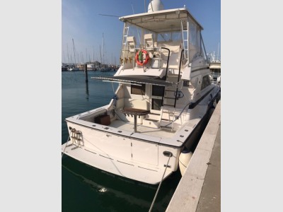 Bertram Yacht 43 Convertible