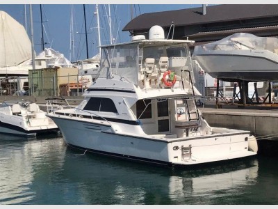 Bertram Yacht 43 Convertible
