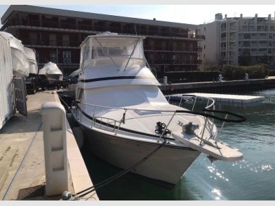 Bertram Yacht 43 Convertible