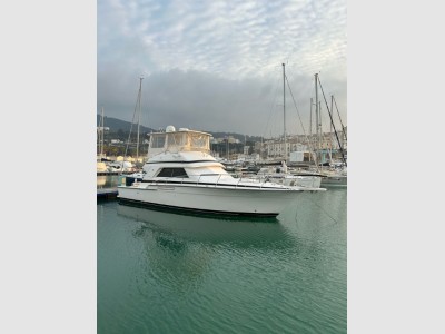Bertram Yacht 43 Convertible