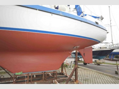 Lionello - Laverda Compass 31