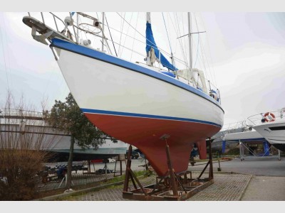 Lionello - Laverda Compass 31