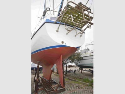 Lionello - Laverda Compass 31