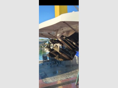 Marlin Boat Marlin 29