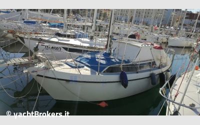 Automarine TORTUGA 27 usato