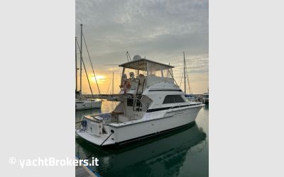 Bertram Yacht 43 CONVERTIBLE usato