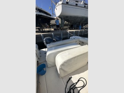 Boston Whaler 290 Outrage