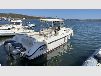 Boston Whaler 290 Outrage