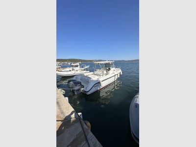 Boston Whaler 290 Outrage