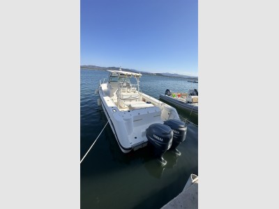 Boston Whaler 290 Outrage