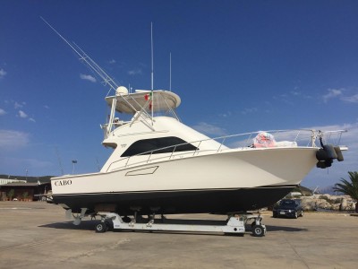 Cabo 43 Fly