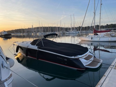 Cobalt 343