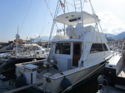 Viking Marine 50 Conv Sport Fish