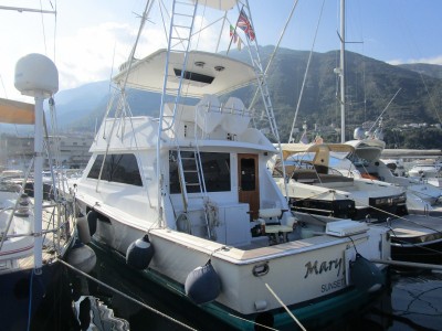 Viking Marine 50 Conv Sport Fish