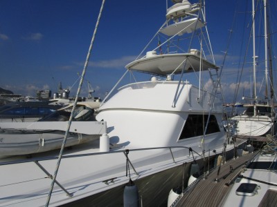 Viking Marine 50 Conv Sport Fish