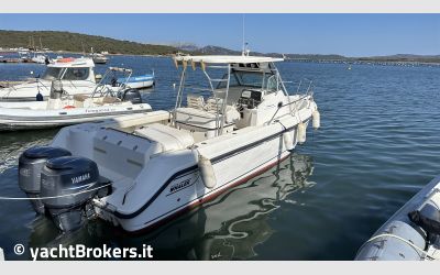 Boston Whaler 290 Outrage usato