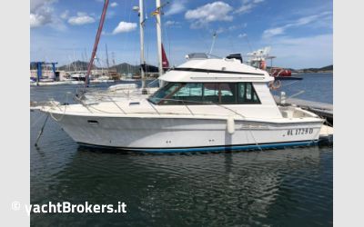 Riviera Marine 35 Convertible usato