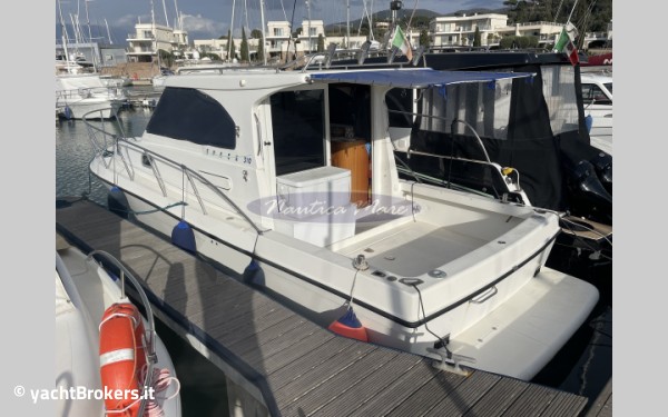 Plastik Space 310 Cruise