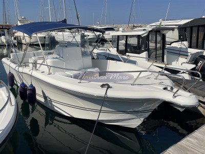 Kelt White Shark 265