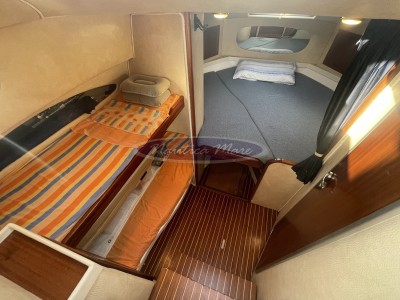 Plastik Space 310 Cruise