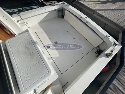 Plastik Space 310 Cruise