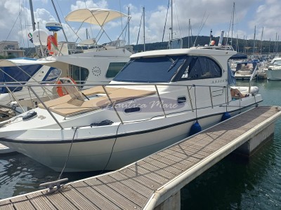 Plastik Space 310 Cruise